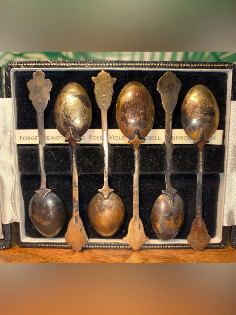 T&S Turner & Simpson Sterling Enamel Floral Demitasse Spoon Set (6) In Box UK